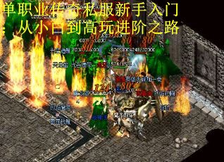 单职业传奇私服新手入门：从小白到高玩进阶之路