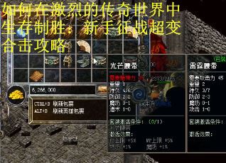 如何在激烈的传奇世界中生存制胜：新手征战超变合击攻略