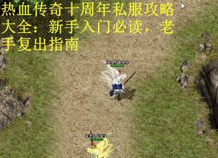 热血传奇十周年私服攻略大全：新手入门必读，老手复出指南