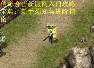 传奇合击新服网入门攻略宝典：新手须知与进阶指南
