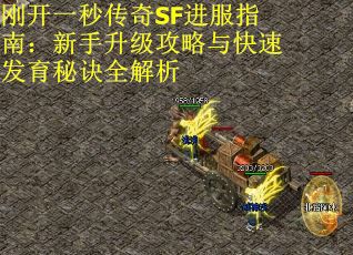 刚开一秒传奇SF进服指南：新手升级攻略与快速发育秘诀全解析