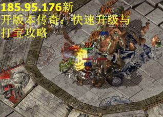 185.95.176新开版本传奇：快速升级与打宝攻略