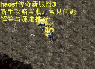 haosf传奇新服网3新手攻略宝典：常见问题解答与疑难排查