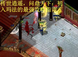 传世逍遥，问鼎天下：初入玛法的最强攻略指南