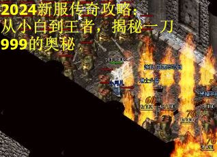 2024新服传奇攻略：从小白到王者，揭秘一刀999的奥秘