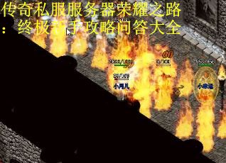 传奇私服服务器荣耀之路：终极新手攻略问答大全
