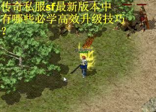 传奇私服sf最新版本中有哪些必学高效升级技巧？