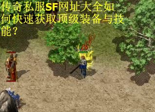 传奇私服SF网址大全如何快速获取顶级装备与技能？