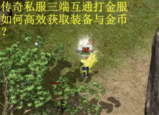 传奇私服三端互通打金服如何高效获取装备与金币？