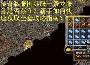 传奇私服国际服一条龙服务是否存在？新手如何快速获取全套攻略指南？
