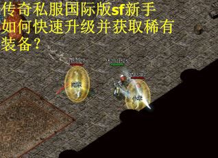 传奇私服国际版sf新手如何快速升级并获取稀有装备？