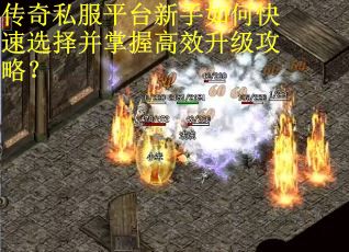 传奇私服平台新手如何快速选择并掌握高效升级攻略？