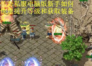 传奇私服电脑版新手如何快速提升等级和获取装备? 传奇私服电脑版新手如何快速提升等级和获取装备?