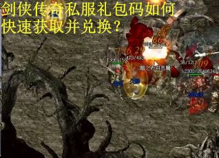 剑侠传奇私服礼包码如何快速获取并兑换？