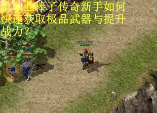 单职业棒子传奇新手如何快速获取极品武器与提升战力? 单职业棒子传奇新手如何快速获取极品武器与提升战力?