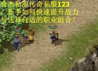 合击私服传奇私服123:新手如何快速提升战力与选择合适的职业组合? 合击私服传奇私服123:新手如何快速提升战力与选择合适的职业组合?
