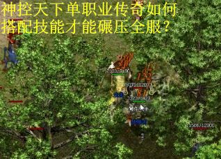 神控天下单职业传奇如何搭配技能才能碾压全服? 神控天下单职业传奇如何搭配技能才能碾压全服?