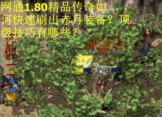 网通1.80精品传奇如何快速刷出赤月装备？顶级技巧有哪些？