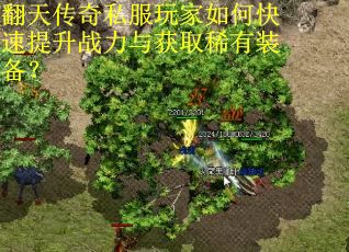翻天传奇私服玩家如何快速提升战力与获取稀有装备? 翻天传奇私服玩家如何快速提升战力与获取稀有装备?