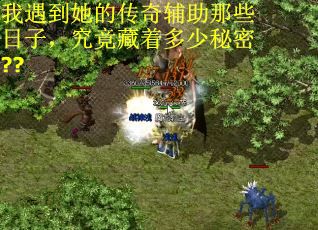 我遇到她的传奇辅助那些日子，究竟藏着多少秘密??