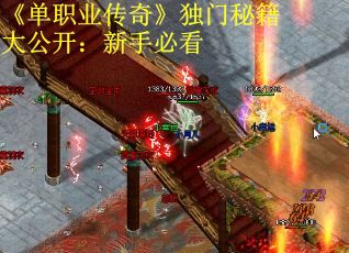 《单职业传奇》独门秘籍大公开：新手必看