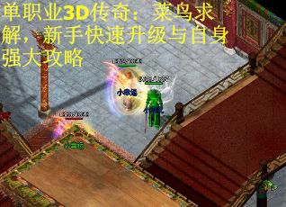 单职业3D传奇：菜鸟求解，新手快速升级与自身强大攻略