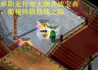 单职业传奇大咖养成宝典：揭秘终极修炼之路