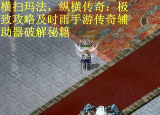 横扫玛法，纵横传奇：极致攻略及时雨手游传奇辅助器破解秘籍