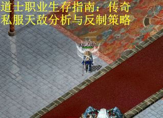 道士职业生存指南：传奇私服天敌分析与反制策略