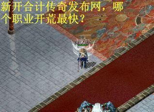 新开合计传奇发布网，哪个职业开荒最快？