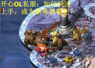 开心OL私服：如何快速上手，成为服务器霸主？