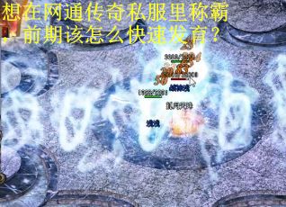想在网通传奇私服里称霸，前期该怎么快速发育？