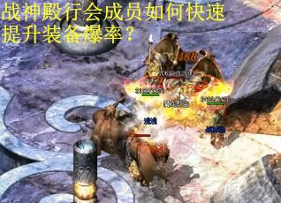 战神殿行会成员如何快速提升装备爆率？