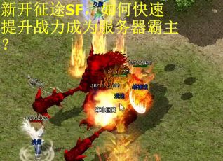 新开征途SF，如何快速提升战力成为服务器霸主？