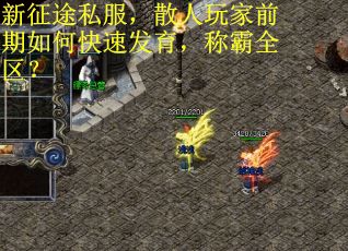 新征途私服，散人玩家前期如何快速发育，称霸全区？