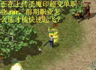 正在上传圣魔印超变单职业.rar，前期职业怎么选才能快速起飞？
