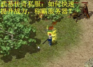 武易传奇私服：如何快速提升战力，称霸服务器？