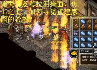 痛失挚友考拉泪掩面，焦土之上，如何寻觅重建家园的希望？