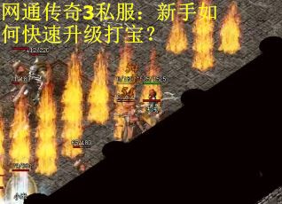 网通传奇3私服：新手如何快速升级打宝？