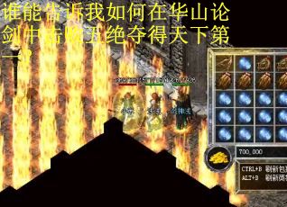 谁能告诉我如何在华山论剑中击败五绝夺得天下第一？