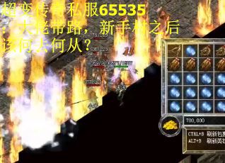 超变传奇私服65535：大佬带路，新手村之后该何去何从？
