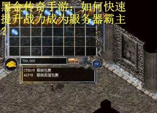 黑金传奇手游：如何快速提升战力成为服务器霸主？