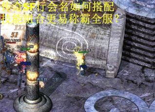 传奇SF行会名如何搭配技能组合更易称霸全服？