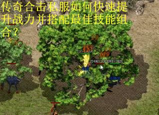传奇合击私服如何快速提升战力并搭配最佳技能组合？