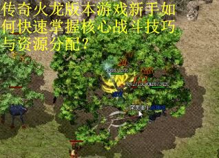 传奇火龙版本游戏新手如何快速掌握核心战斗技巧与资源分配？