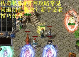 传奇私服3官网攻略常见问题如何解决?新手必看技巧分享