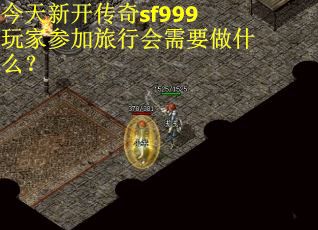 今天新开传奇sf999玩家参加旅行会需要做什么？
