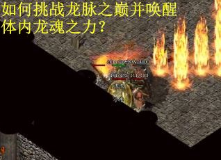 如何挑战龙脉之巅并唤醒体内龙魂之力？