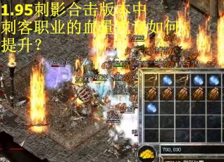 1.95刺影合击版本中刺客职业的血量究竟如何提升? 1.95刺影合击版本中刺客职业的血量究竟如何提升?