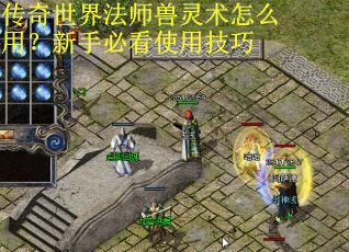 传奇世界法师兽灵术怎么用？新手必看使用技巧